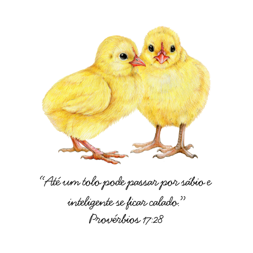 Provérbios 17:28